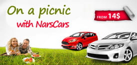 Picnic with NarsCars