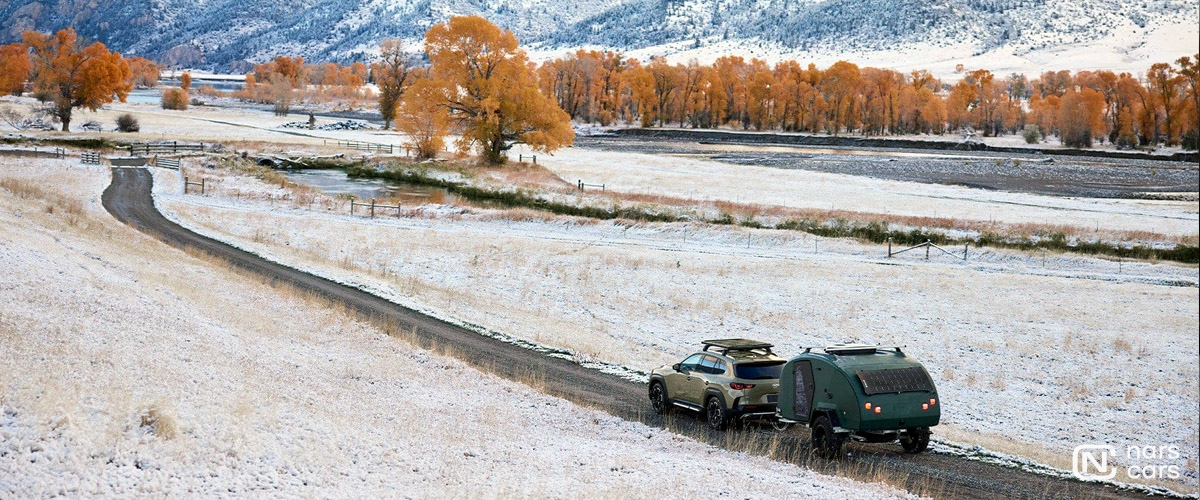 Зимние Карпаты 4х4