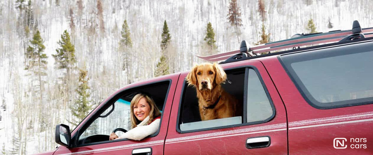 Путешествие с домашними животными на арендованном автомобиле