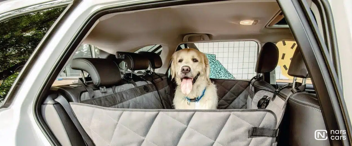 Защитные средства для салона авто